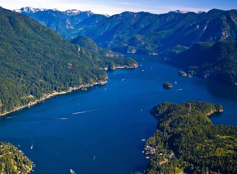 Vancouver Brunch Cruise - Your floating meal: what the buffet is actually like