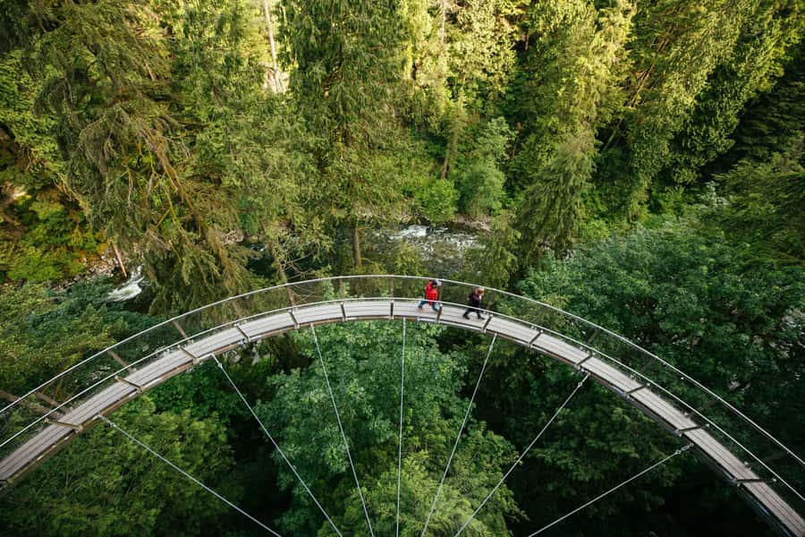 Vancouver: Capilano Bridge, Cleveland Dam & Lynn Canyon Tour - Capilano Suspension Bridge Park: height, Cliffwalk, and Treetops Adventure