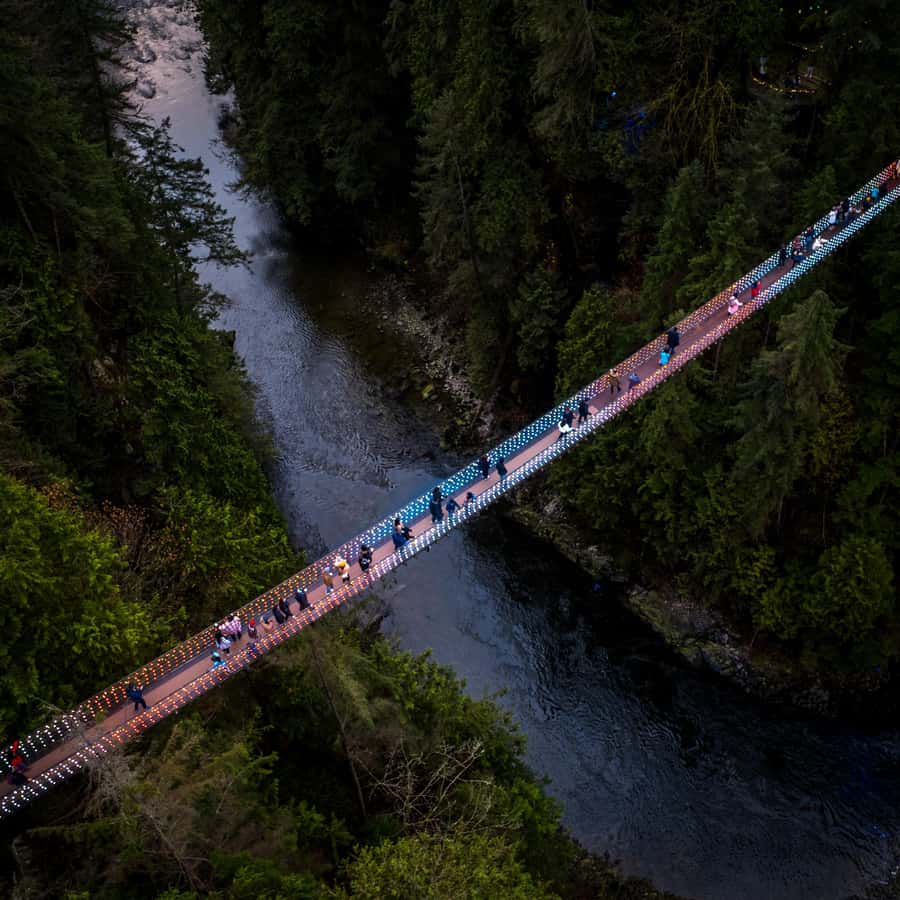 Vancouver: Capilano Bridge, Cleveland Dam & Lynn Canyon Tour - Capilano Lush Rainforest and the Cleveland Dam viewpoint daydream