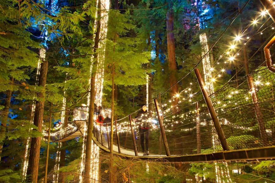 Vancouver: Capilano Bridge, Cleveland Dam & Lynn Canyon Tour - What you really get for $136 (and where the costs can surprise you)