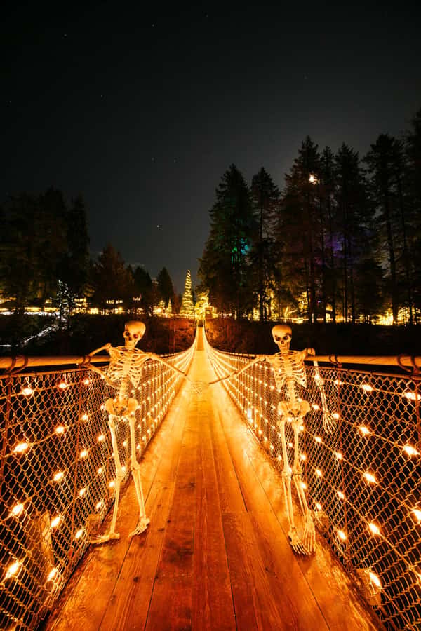 Vancouver: Capilano Bridge, Cleveland Dam & Lynn Canyon Tour - Guide-led comfort: pickup timing, group size, and Spanish help