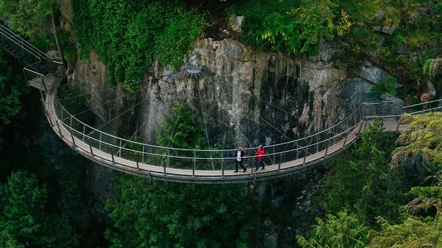 Vancouver: Capilano Bridge, Cleveland Dam & Lynn Canyon Tour - Should you book this Vancouver North Shore tour?