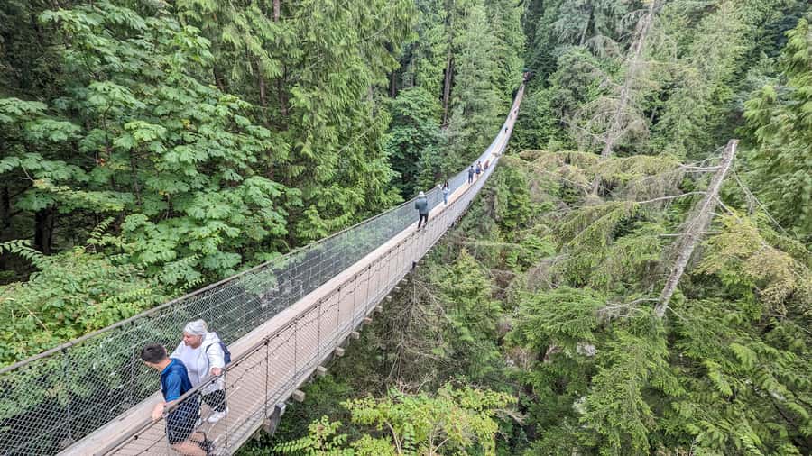 Vancouver: Capilano Bridge, Cleveland Dam & Lynn Canyon Tour - Capilano River Hatchery: salmon life cycle you can actually see