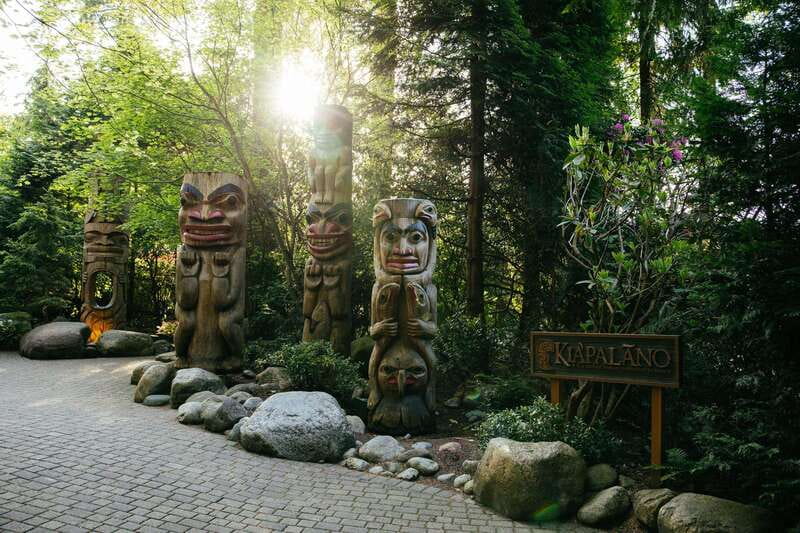 Vancouver: Capilano Suspension Bridge Park Ticket - Rain or Shine: A Vancouver Day That Still Works