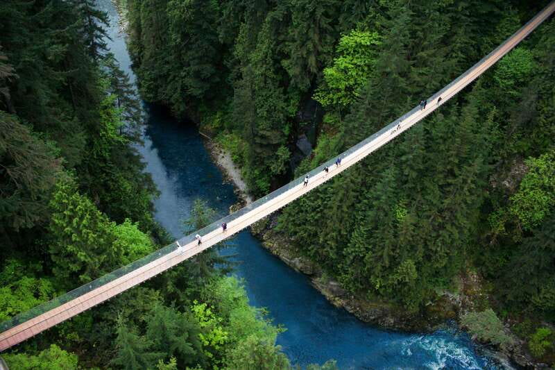 Vancouver: Capilano Suspension Bridge Park Ticket - Why Capilano Park Feels Like More Than a Bridge Ticket