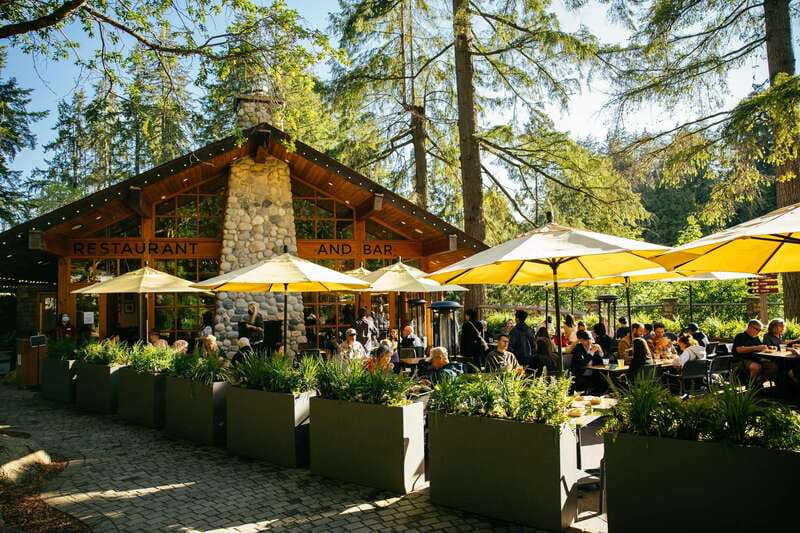 Vancouver: Capilano Suspension Bridge Park Ticket - Capilano Suspension Bridge: The 450-Foot Crossing You Actually Feel