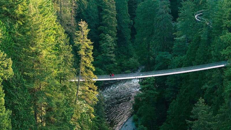 Vancouver: Capilano Suspension Bridge Park Ticket - Price and Value: What Your $59 Buys (and What It Doesn’t)