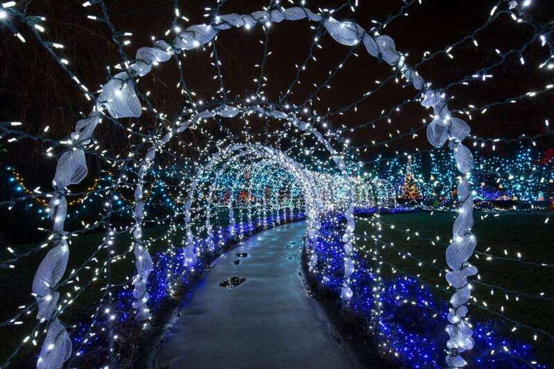 Vancouver Christmas Lights Karaoke Trolley Tour - Key Points You’ll Actually Care About