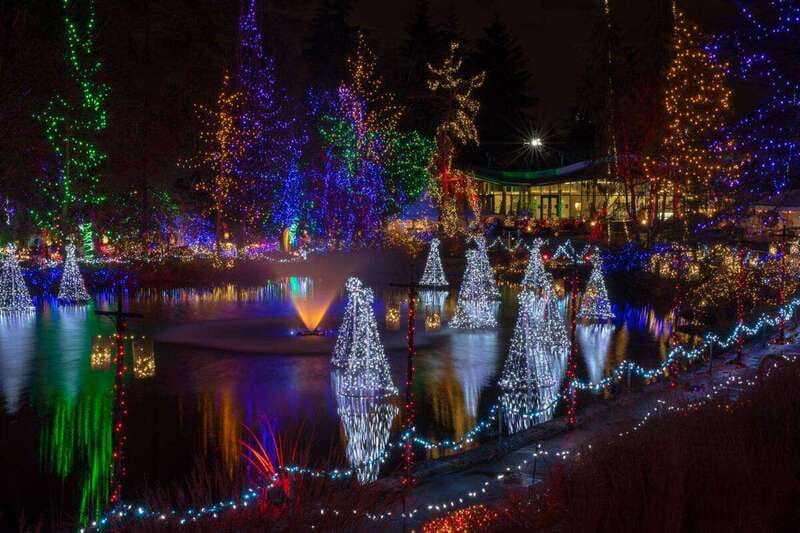 Vancouver Christmas Lights Karaoke Trolley Tour - English Bay Views and Robson Street Sparkle: Easy Sightseeing by the Bay