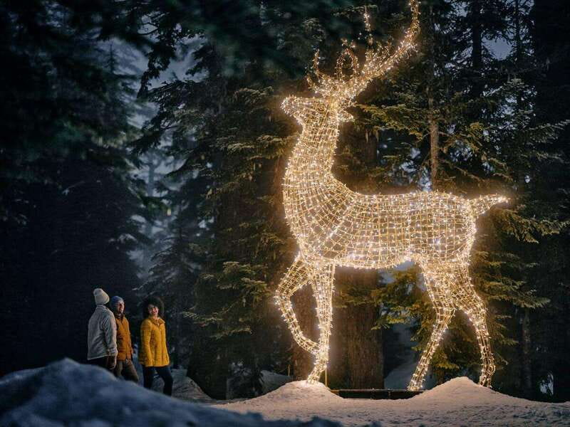 Vancouver Christmas Lights Karaoke Trolley Tour - Lights of Hope at St. Paul’s Hospital: A Downtown Tradition