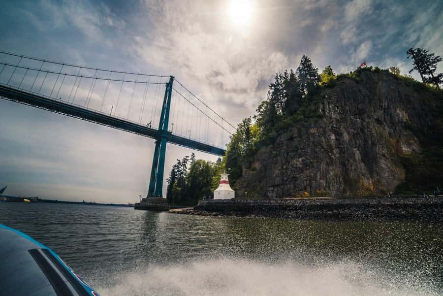 Vancouver: City and Seal Boat Tour - Price and Value: What You’re Really Paying For