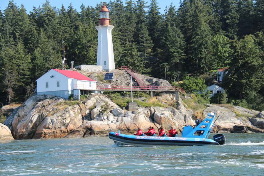 Vancouver: City and Seal Boat Tour - Lions Gate Bridge: The Close-Up Underpass Moment