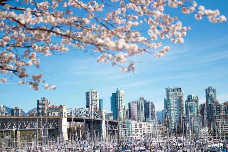 Vancouver: City & Granville Island Sightseeing Trolley Tour - Why this Vancouver trolley tour is a smart first-day move