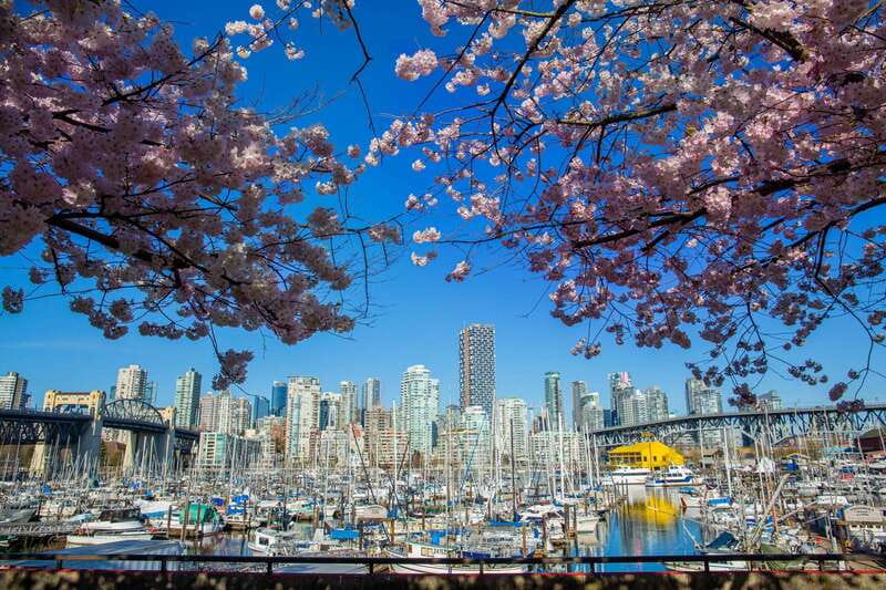 Vancouver: City & Granville Island Sightseeing Trolley Tour - English Bay: quick beach time for photos and sea air