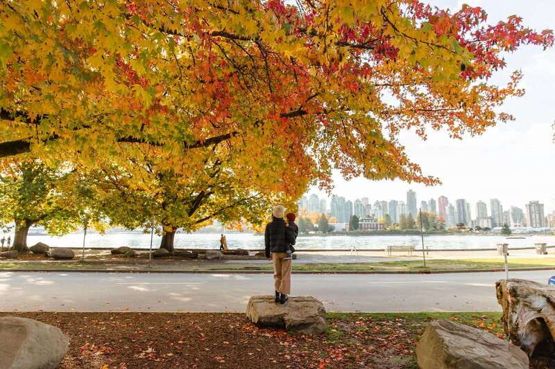 Vancouver: City & Granville Island Sightseeing Trolley Tour - Price, comfort, and who this trolley fits best