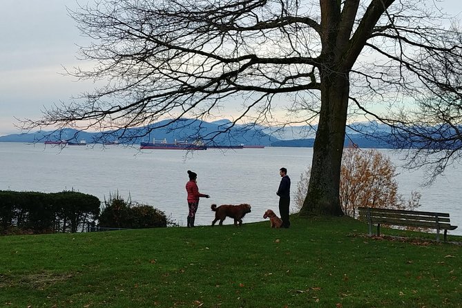 Vancouver City Highlights Explorer Private Tour - North Shore waterfront views: the orientation start that pays off later