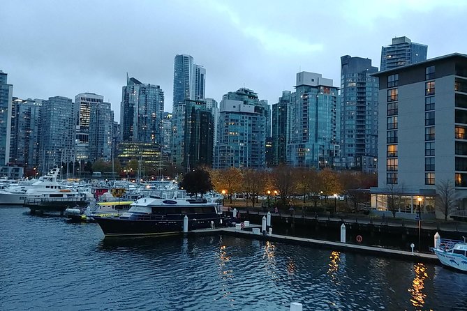 Vancouver City Highlights Explorer Private Tour - The waterfront beach stop: Polar Bear Swim energy and public art