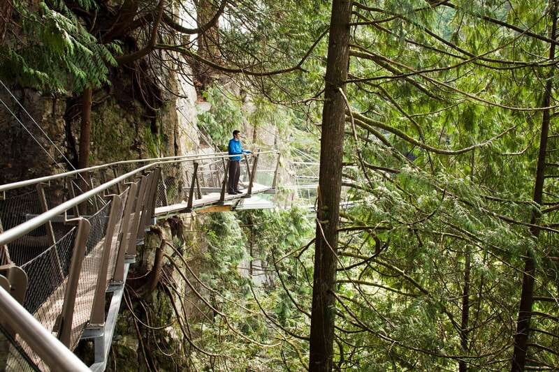 Vancouver: City+Lookout+Capilano Suspension Bridge Ticket - Stanley Park tot em poles: quick context that saves your time