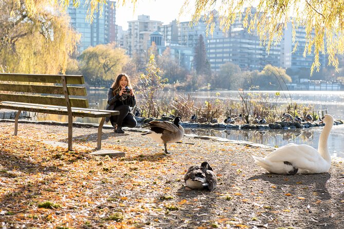 Vancouver City & Lookout Tour and Option to Add Airport Drop Off - Stanley Park without the effort: trees, totem poles, and viewpoints