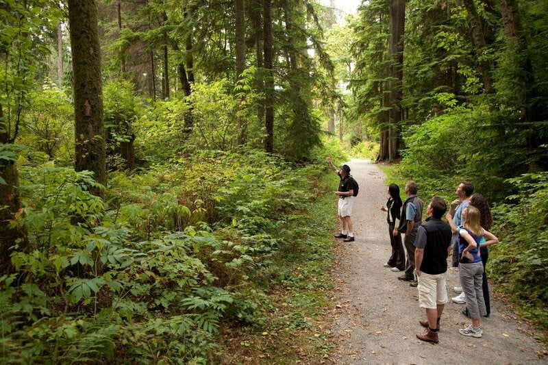 Vancouver: City + Lookout Tour & Option to Add YVR Drop-Off - Gastown and the Steam Clock: Where the Story Started