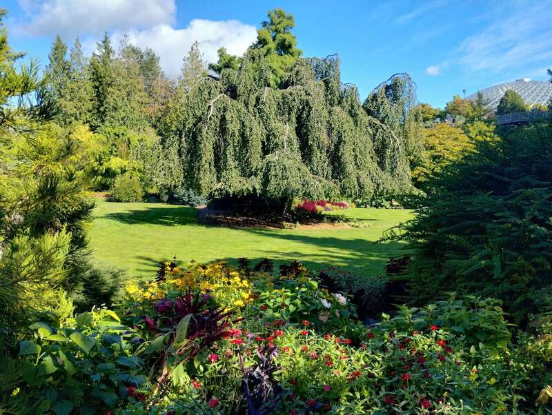 Vancouver City Tour: The Only Full Small-Group Car Tour - A small-group car day that feels like Vancouver, not a bus route
