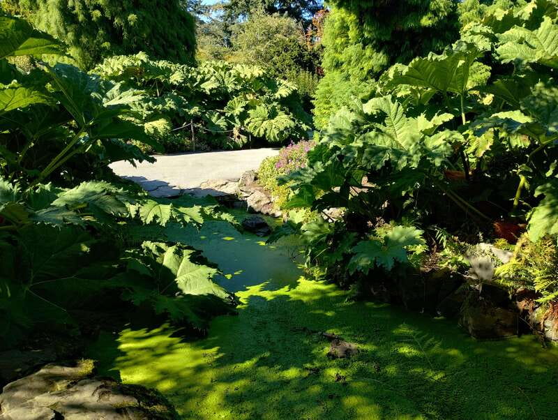 Vancouver City Tour: The Only Full Small-Group Car Tour - Price and value: why $204 per person can work (and when it won’t)