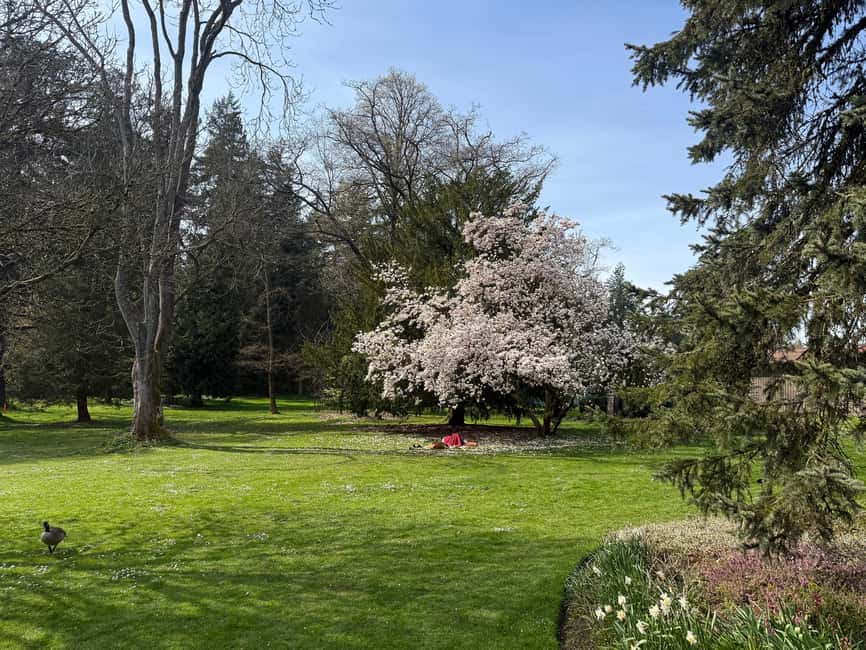 Vancouver City Tour+VipCar+Stanley Park+ChinaTown/SmallGroup - The included professional photos and tour video are not an afterthought