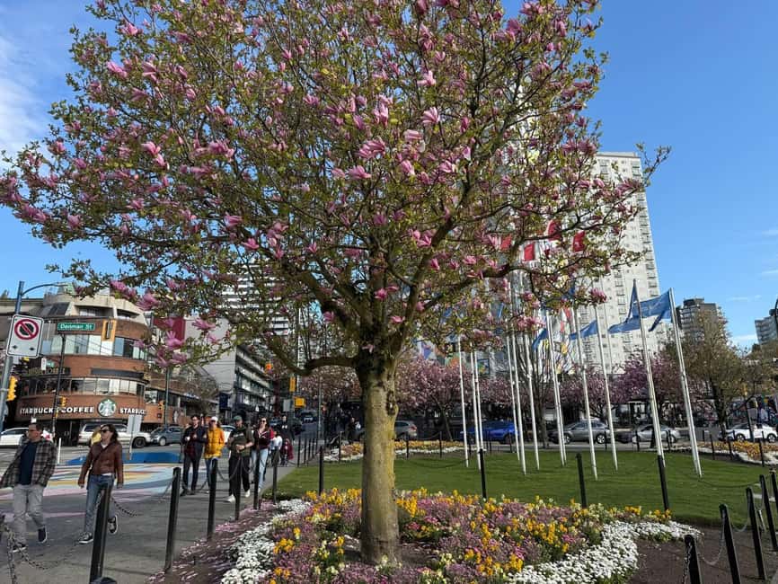Vancouver City Tour+VipCar+Stanley Park+ChinaTown/SmallGroup - Who this tour suits best (and who should look elsewhere)