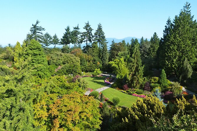 Vancouver City Tour with Admission to Lookout Tower - Timing, Transportation, and Why This Tour Works in One Day