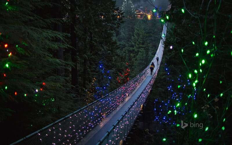 Vancouver: City Tour with Capilano Suspension Bridge - How the 10am pickup shapes an efficient Vancouver day