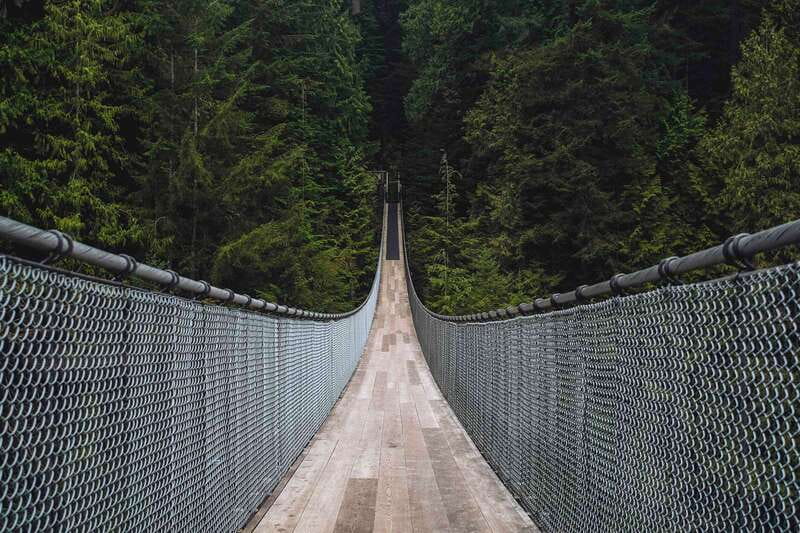 Vancouver: City Tour with Capilano Suspension Bridge - Gastown and Chinatown: two very different walks, one tight schedule
