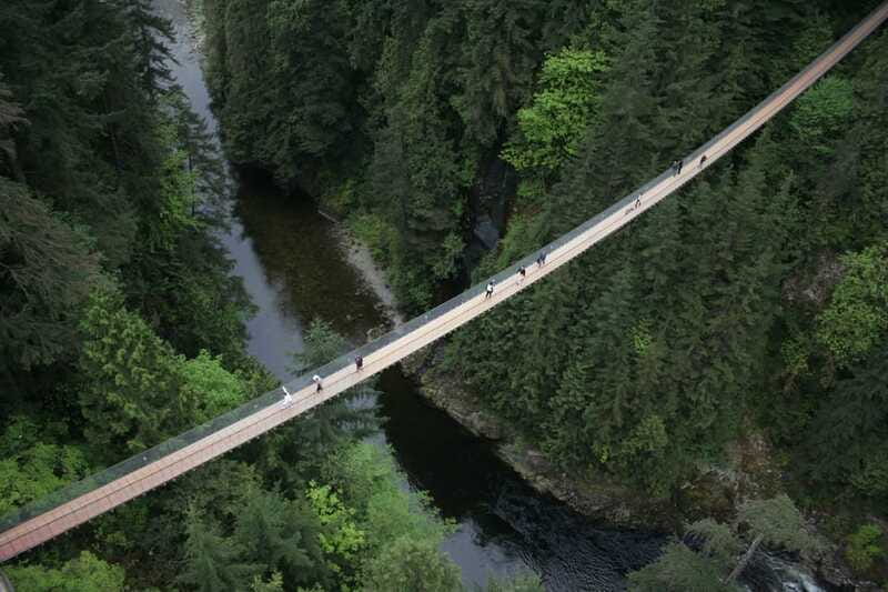Vancouver: City Tour with Capilano Suspension Bridge - Grouse Mountain: mountain air plus outdoor time and animal encounters