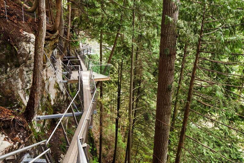 Vancouver: City Tour with Capilano Suspension Bridge - Food, walking comfort, and weather realities