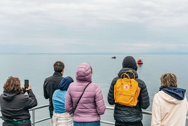 Vancouver: Covered Whale Watching Adventure with Free Photos - Half-day or sunset: choosing the feel you want