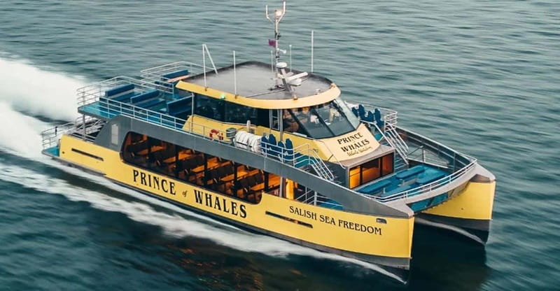 Vancouver: Covered Whale Watching Adventure with Free Photos - Comfort at sea: heated cabin, warm drinks, and real-world weather