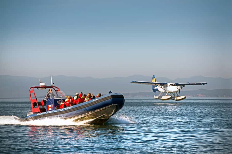 Vancouver: Day Trip to Victoria Seaplane with Whale Watching - The 35-Minute Seaplane Ride: Views Over Stanley Park and the Strait of Georgia