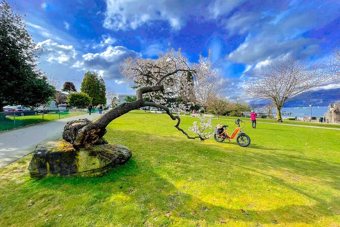Vancouver E-Bike Rentals - Premium Seawall Bike Path Location - Price and value: $63.84 for a full waterfront loop without hassle