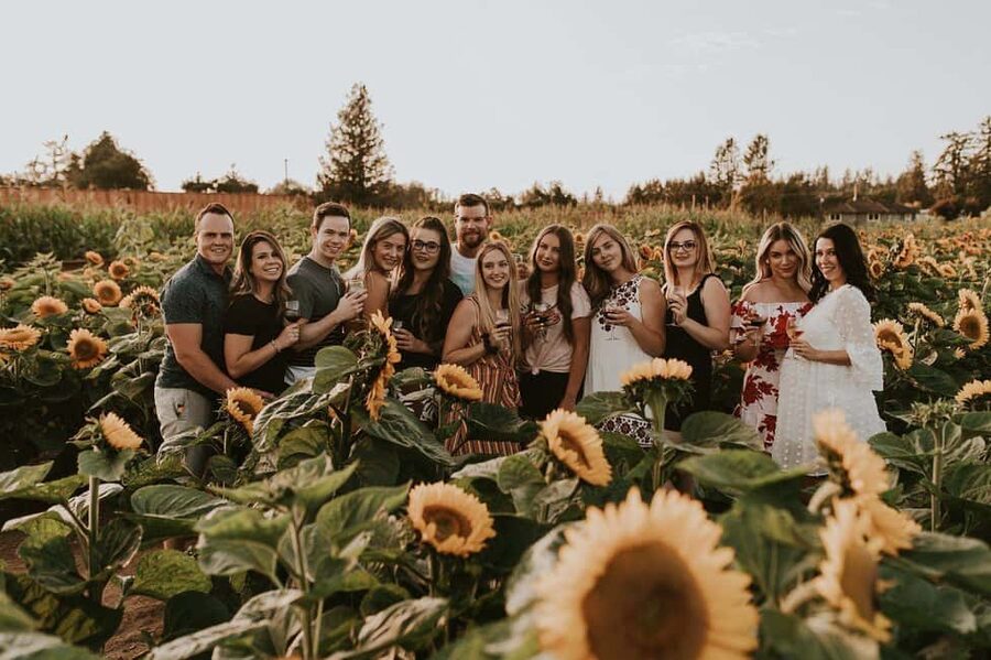 Vancouver: Fraser Valley Wine Tour with Tastings - Key things that make this wine tour worth your time