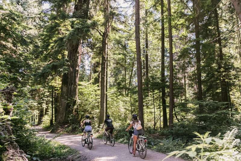 Vancouver: Guided Bike Tour - Stanley Park Seawall and Beaver Lake: Nature Meets the City Skyline