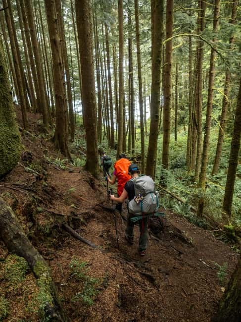 Vancouver: Guided Hiking Highlights at Grouse & Lynn Canyon - Canada to cliffs: what this Vancouver hiking day really delivers