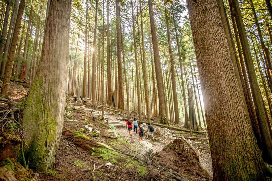 Vancouver: Guided Hiking Highlights at Grouse & Lynn Canyon - Grouse Grind Trail (2.5 km / 800 m): challenge level and smart preparation