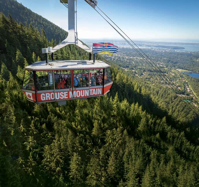 Vancouver: Guided Hiking Highlights at Grouse & Lynn Canyon - Stanley Park mini-coach tour: why the short stop works