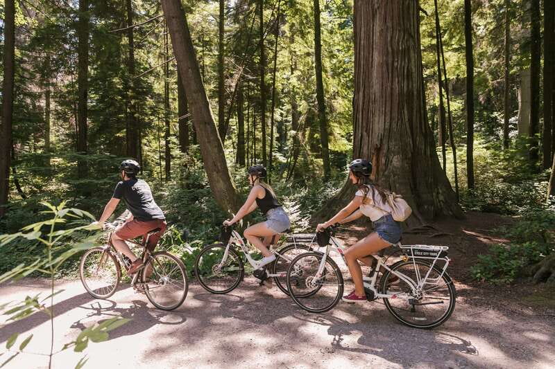 Vancouver: Half-Day City Highlights E-Bike Tour Age 16+ - Stanley Park: Seawall views, Totem Poles, and Beaver Lake time