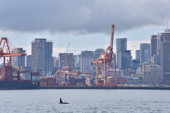 Vancouver Half-Day Whale Watching Adventure with Free Photos - Free Photos Are the Smart Move: Better Memories Without the Camera Chase