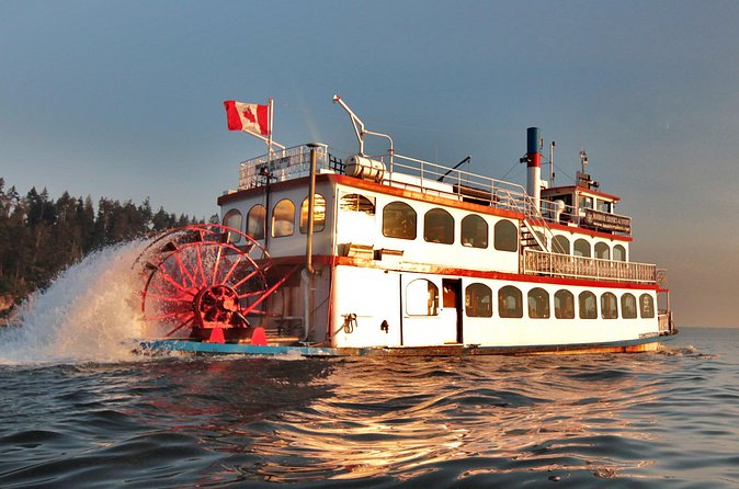 Vancouver Harbor Sightseeing Cruise - Price and value: is $56.33 fair for this hour?