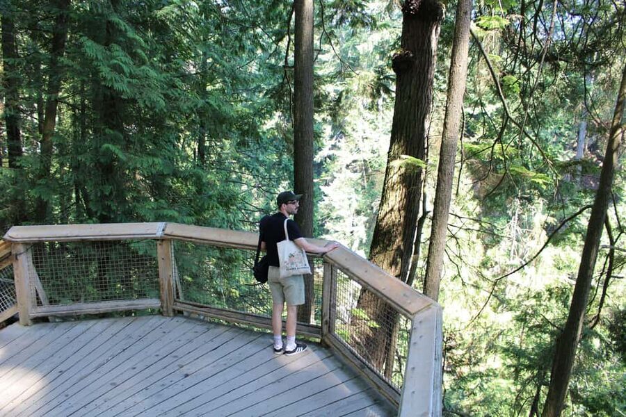 Vancouver Highlights: Capilano Bridge & Granville Island - Stanley Park by Bus: The Urban Rainforest Moment