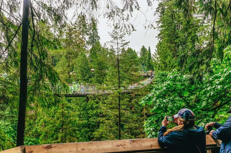 Vancouver Highlights: Capilano Bridge & Granville Island - Capilano Suspension Bridge Park: Cliffwalk, Suspension Bridge, TreeTops