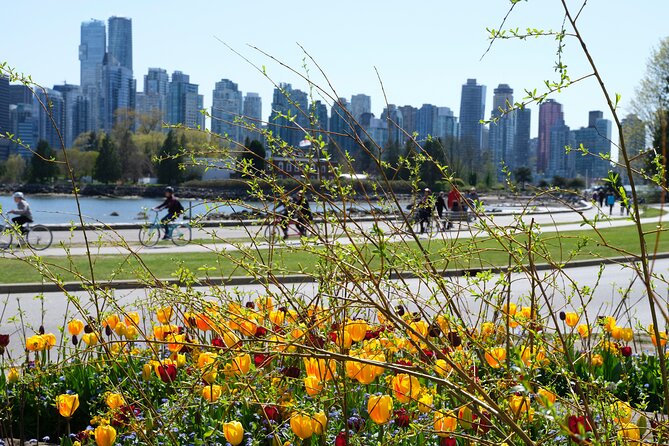 Vancouver Hop On Hop Off Trolley Tour - Practical tips: how to hop smart and reduce waiting stress