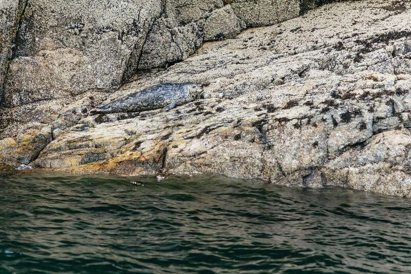 Vancouver: Indian Arm and Granite Falls Zodiac Boat Tour - Why This 3-Hour Zodiac Route Feels Like a Vancouver Shortcut