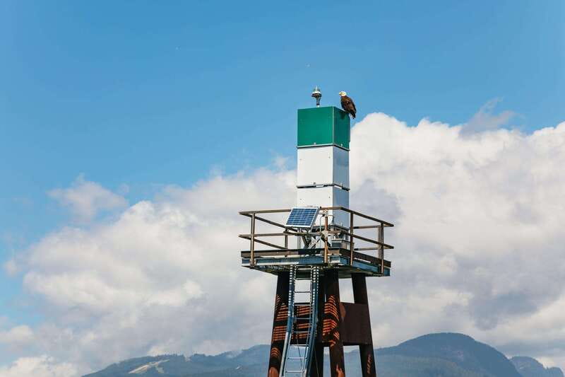 Vancouver: Indian Arm and Granite Falls Zodiac Boat Tour - Under the Lions Gate Bridge: North Shore Views and Siwash Rock Moments